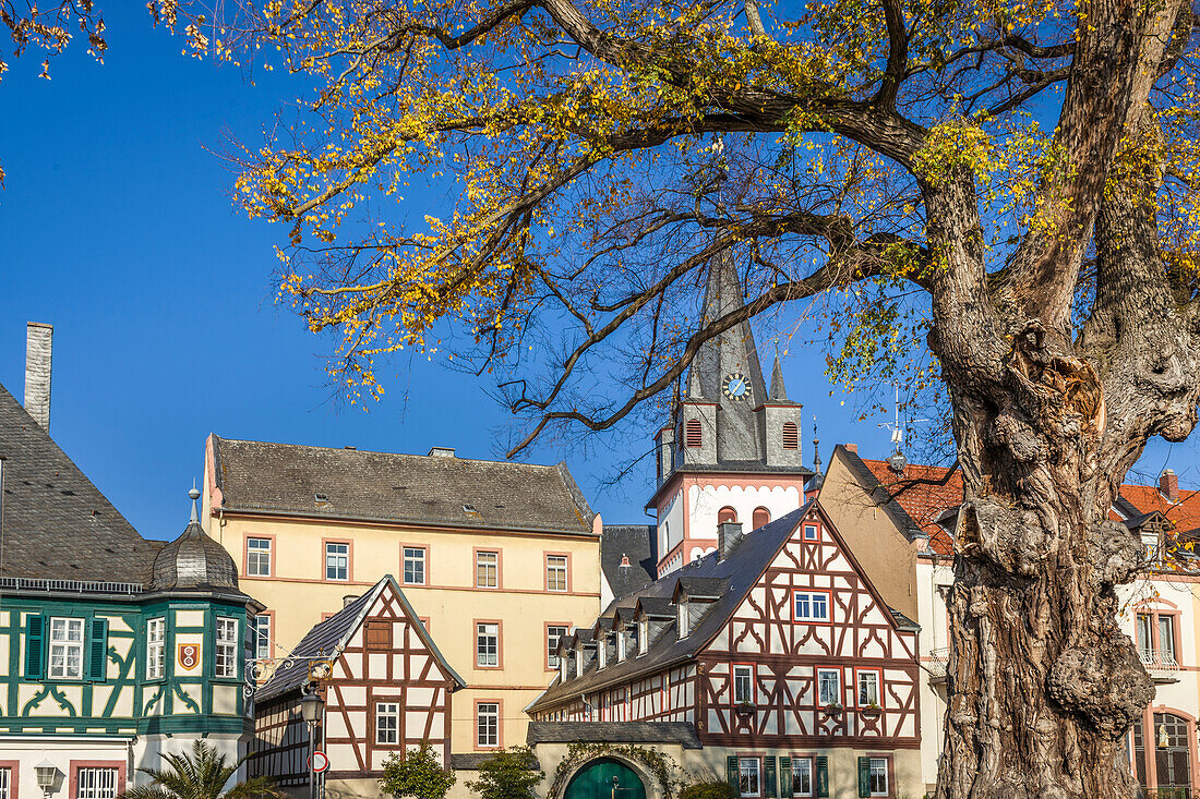Historische Fachwerkhäuser an der Uferpromenade von Oestrich, Rheingau, Hessen, Deutschland