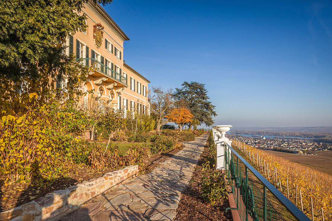 View from Schloss Johannisberg in the Rheingau, Hesse, Germany