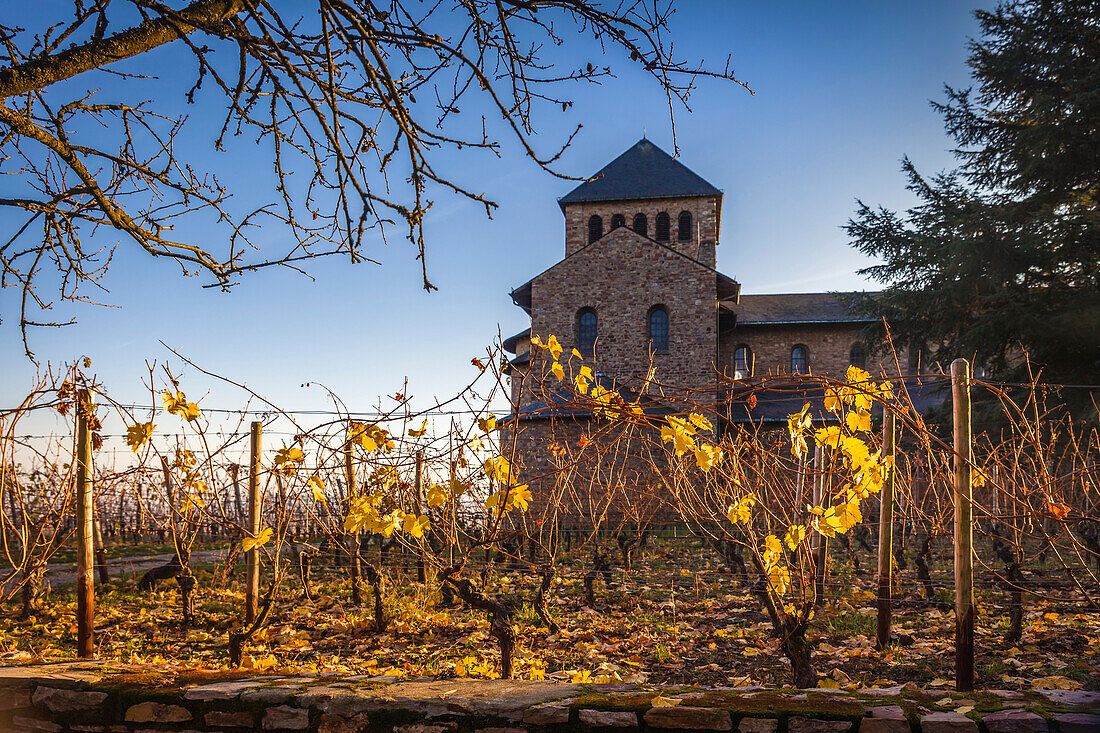 Basilica Schloss Johannisberg, Rheingau, Hesse, Germany