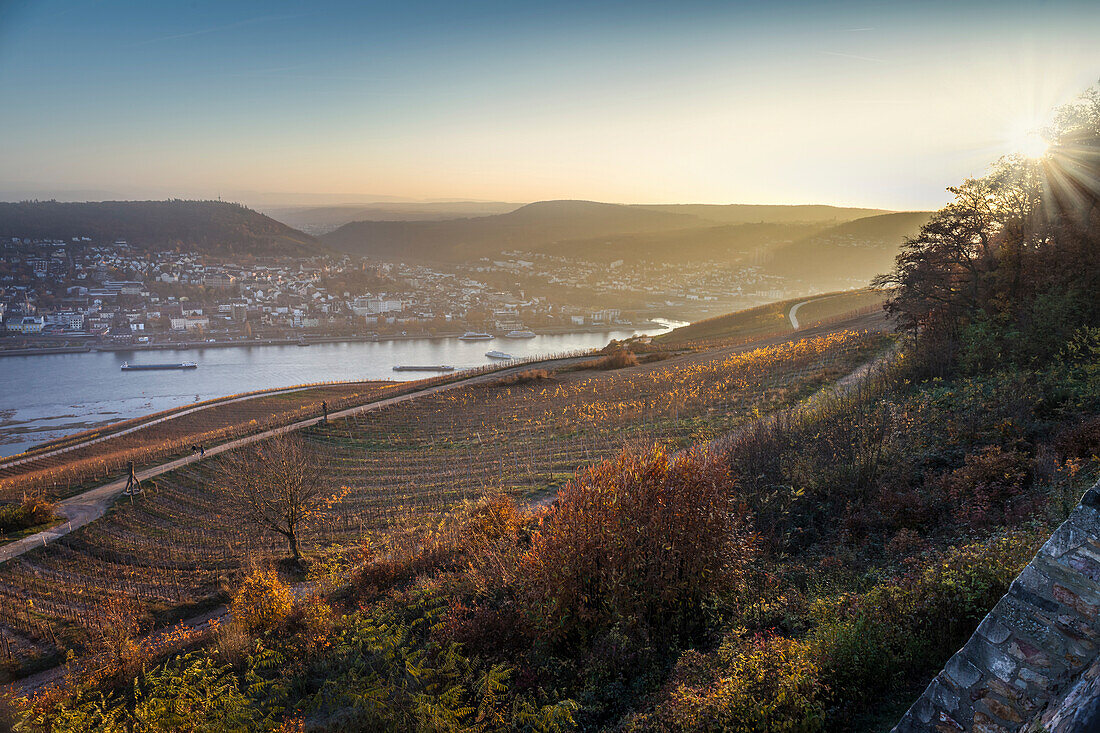 View from the Niederwald viewing terrace on Bingen, Rheingau, Hesse, Germany