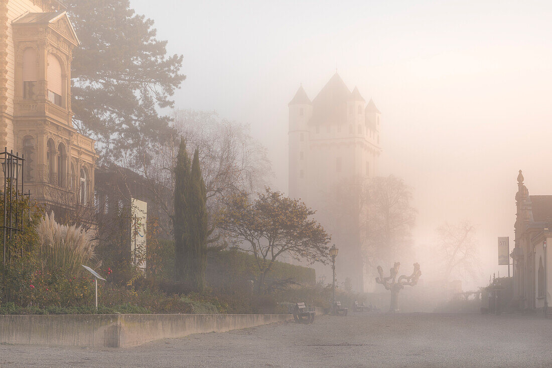 Herbstlicher Morgennebel an der Kurfürstlichen Burg Eltville, Rheingau, Hessen, Deutschland