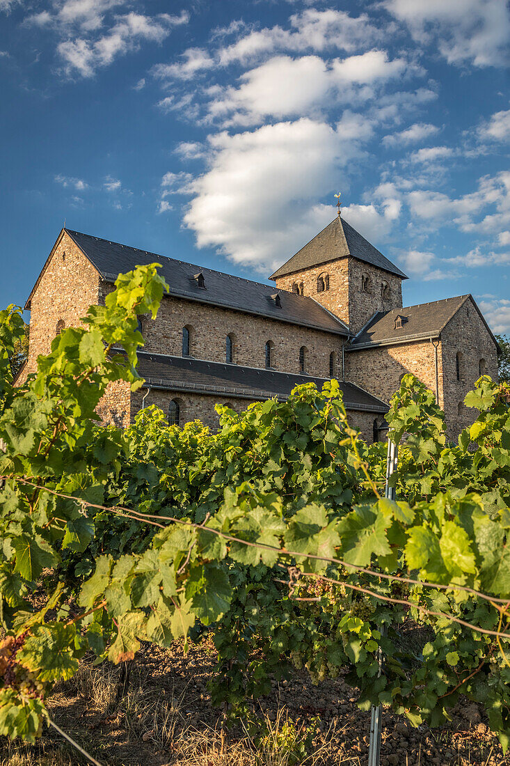 Basilika St. Aegidius in Mittelheim, Rheingau, Hessen, Deutschland