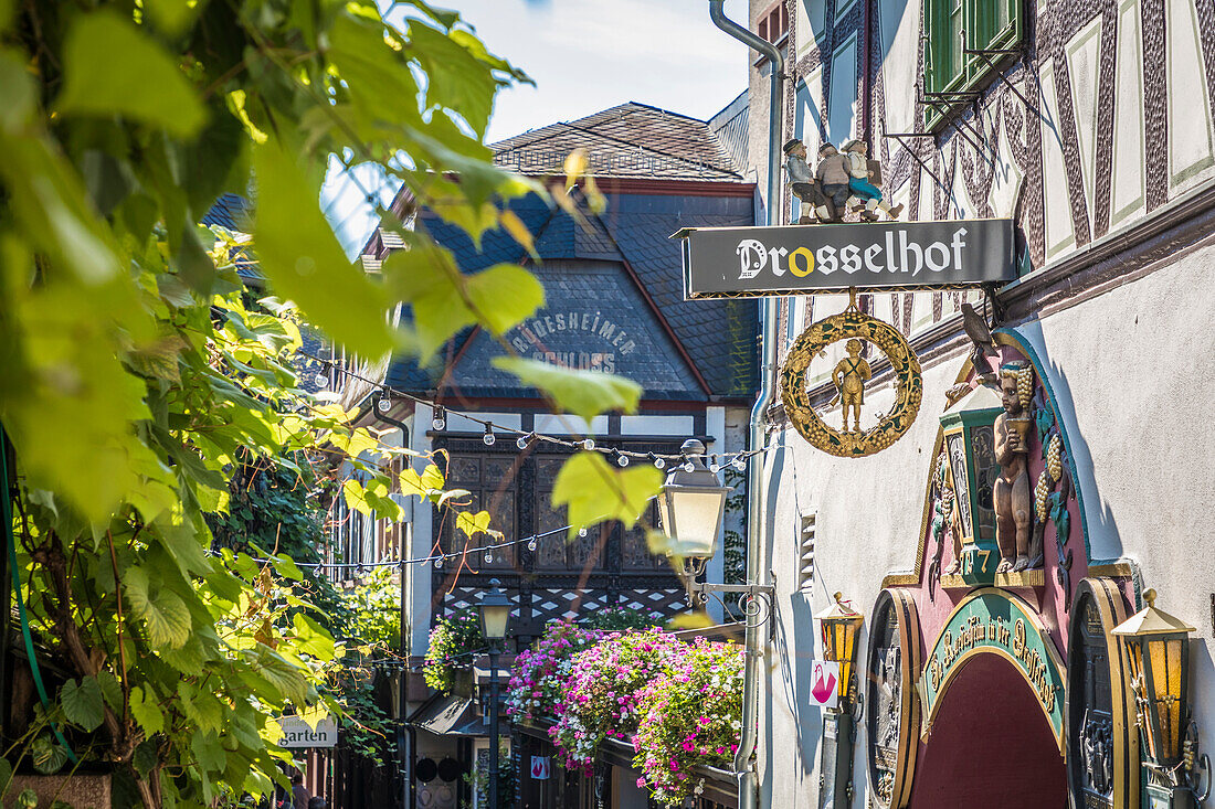 Wine bars in the Drosselgasse of Rüdesheim, Rheingau, Hesse, Germany