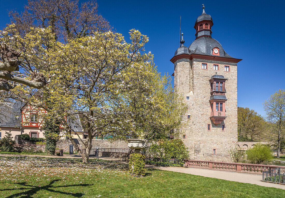 Bergfried von Schloss Vollrads bei Oestrich-Winkel, Rheingau, Hessen, Deutschland