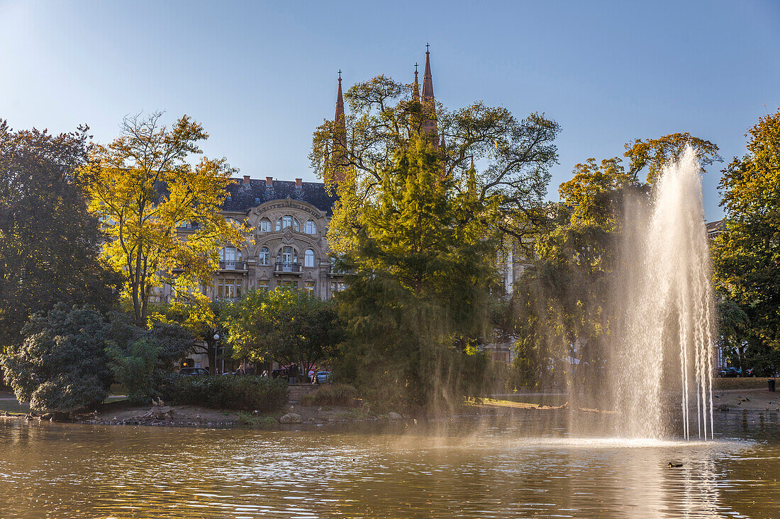 Pond at Park Warmer damm, Wiesbaden, Hesse, Germany