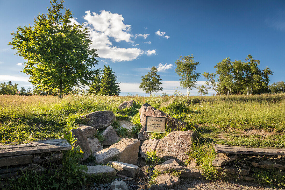 Lennequelle (830 m) auf dem Gipfelplateau des Kahlen Asten bei Winterberg, Sauerland, Nordrhein-Westfalen, Deutschland