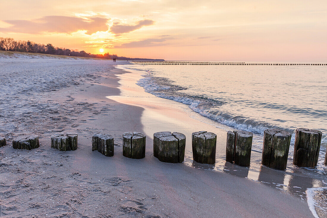 Buhnen am Strand von Zingst, Mecklenburg-Vorpommern, Norddeutschland, Deutschland