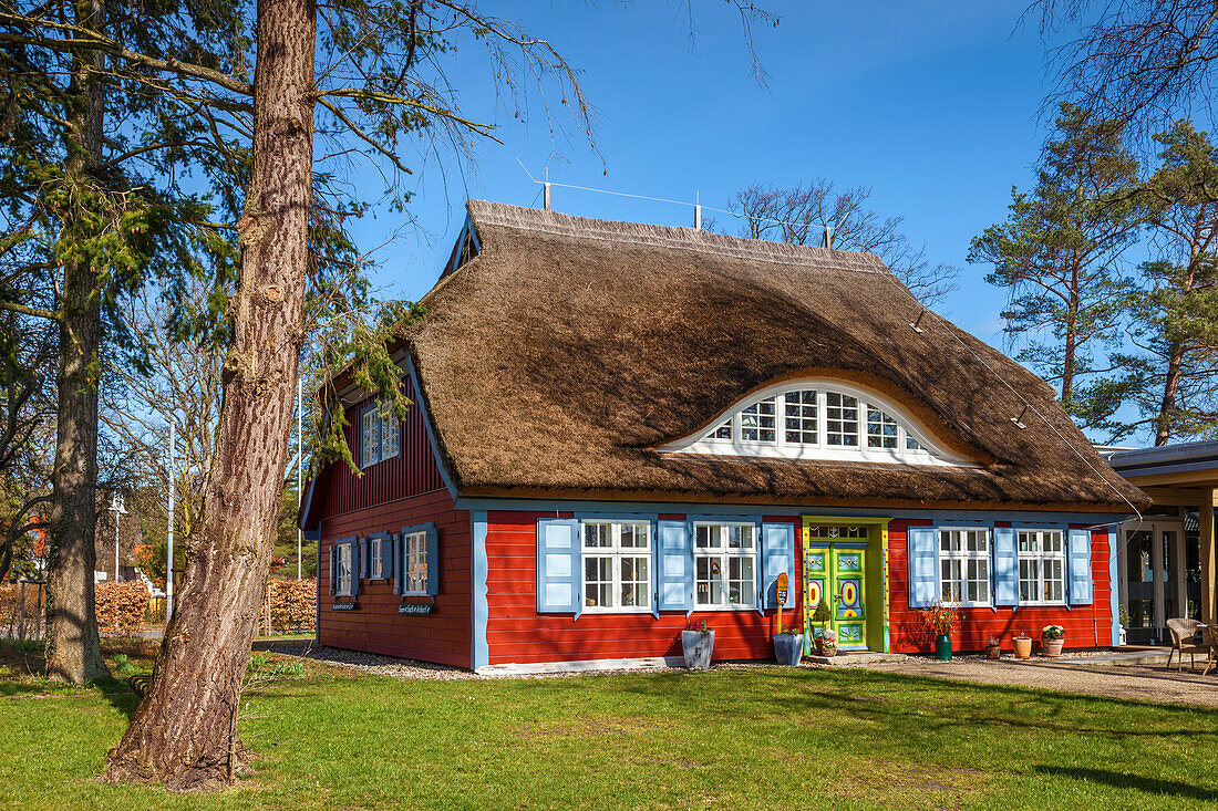 Historic thatched cottage in Prerow, Mecklenburg-West Pomerania, Northern Germany, Germany