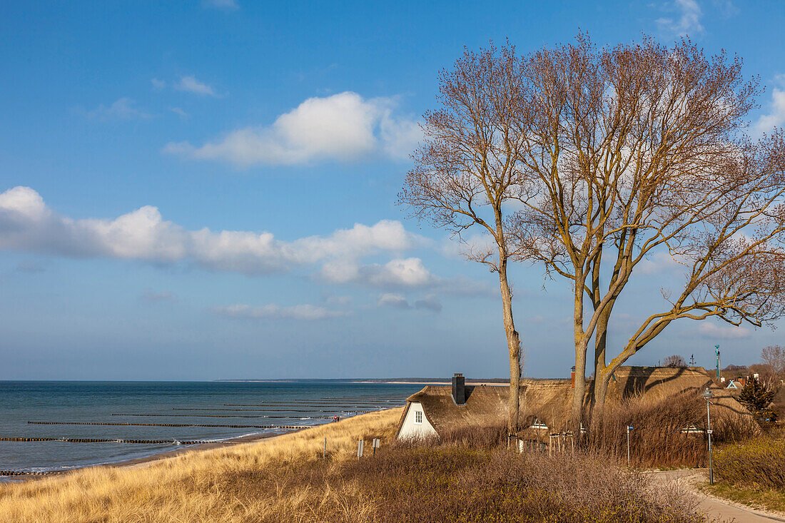 Beach and Deichhaus in Ahrenshoop, Mecklenburg-West Pomerania, Northern Germany, Germany