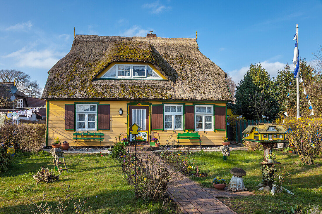 Historic thatched roof house in Born am Darss, Mecklenburg-West Pomerania, Northern Germany, Germany