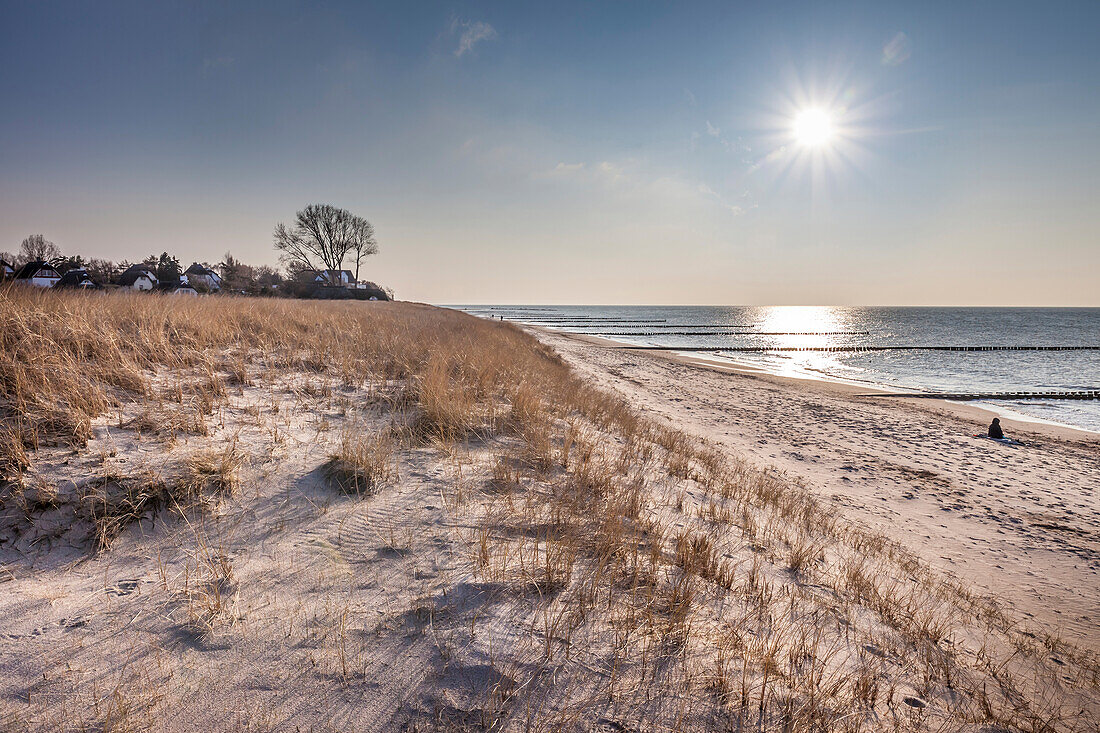 Dünen am Strand in Ahrenshoop, Mecklenburg-Vorpommern, Norddeutschland, Deutschland