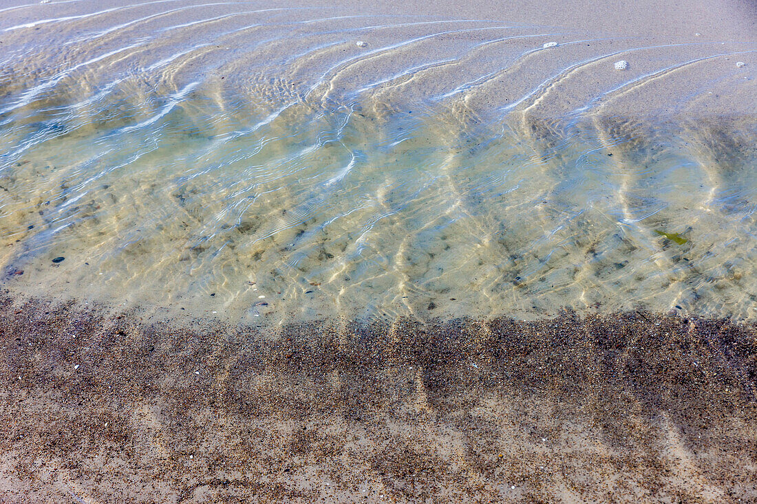 waves on the beach of darss, mecklenburg-vorpommern, northern germany, germany