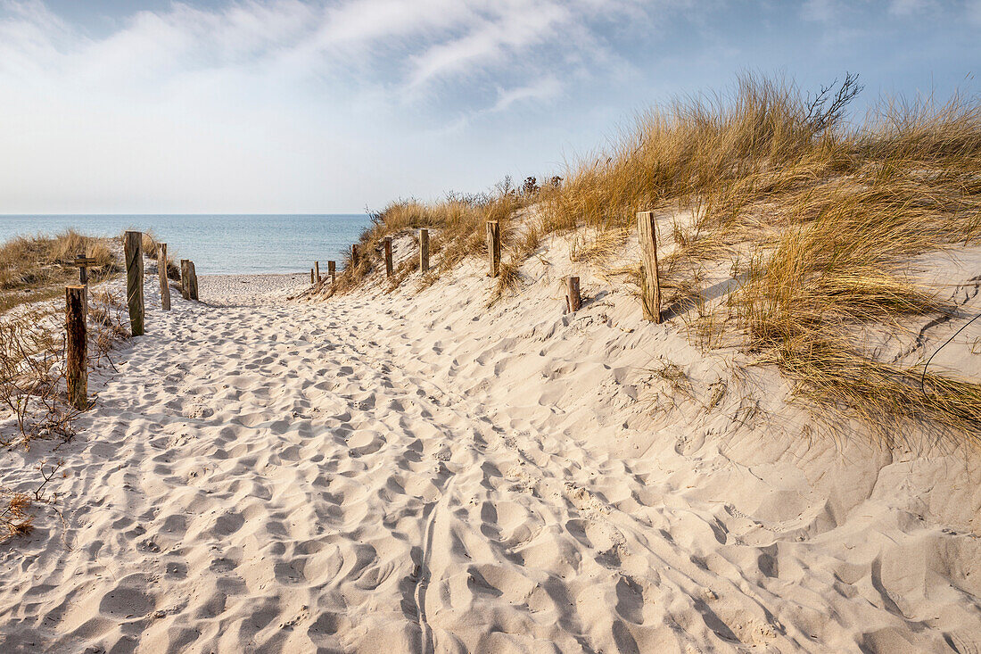 Path to the beach at Darsser Ort, Mecklenburg-West Pomerania, North Germany, Germany