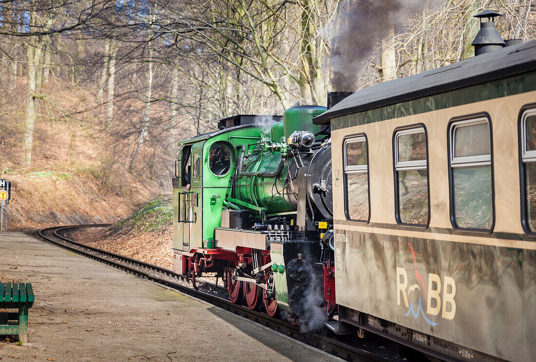 Rügensche Bäderbahn Rasender Roland, Mecklenburg-Vorpommern, Rügen, Norddeutschland, Deutschland