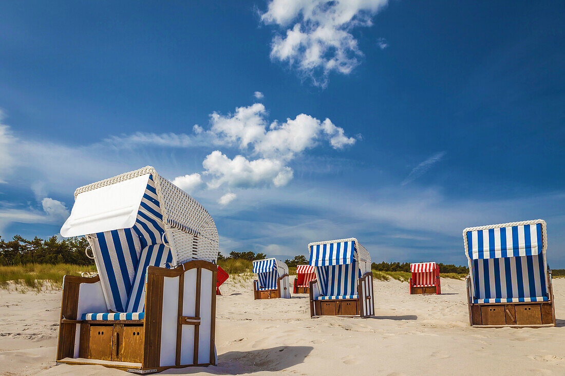 Strandkörbe am Strand von Zingst, Mecklenburg-Vorpommern, Norddeutschland, Deutschland