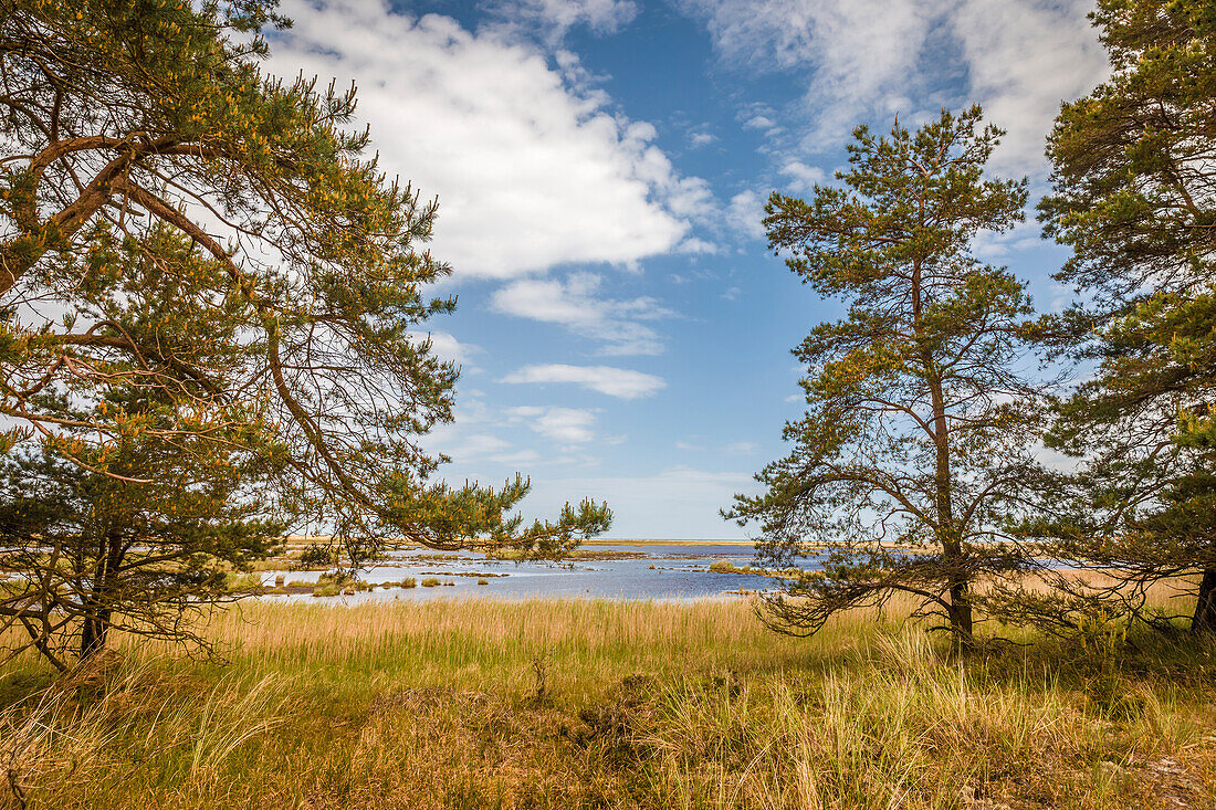 Nationalpark Vorpommersche Boddenlandschaft, Mecklenburg-Vorpommern, Norddeutschland, Deutschland