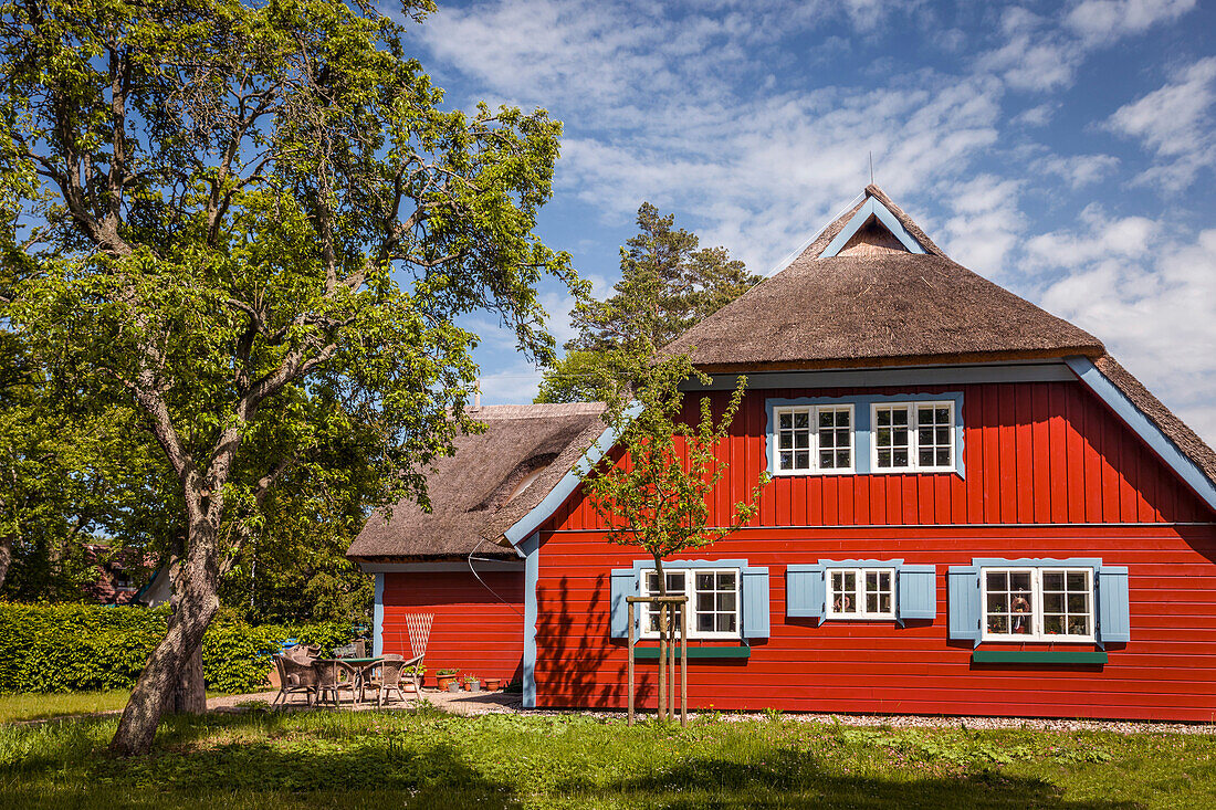 Old thatched cottage in Prerow, Mecklenburg-West Pomerania, Northern Germany, Germany