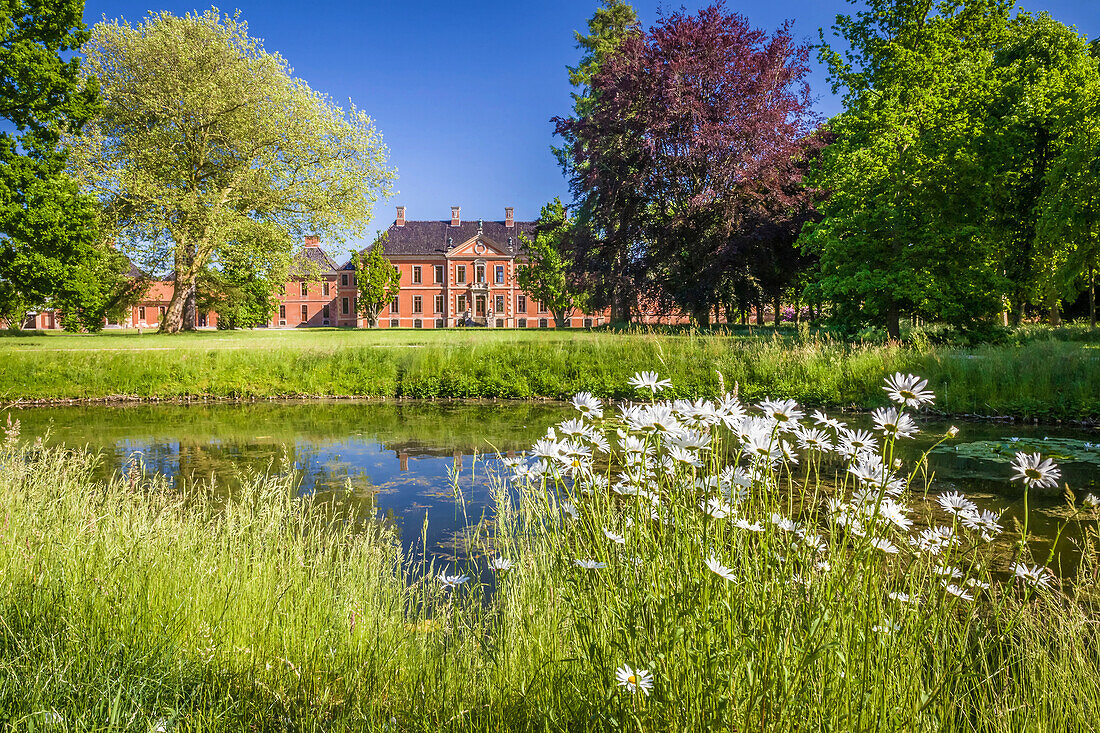 Flower meadow in the park of Bothmer Castle in Klütz, Mecklenburg-West Pomerania, North Germany, Germany