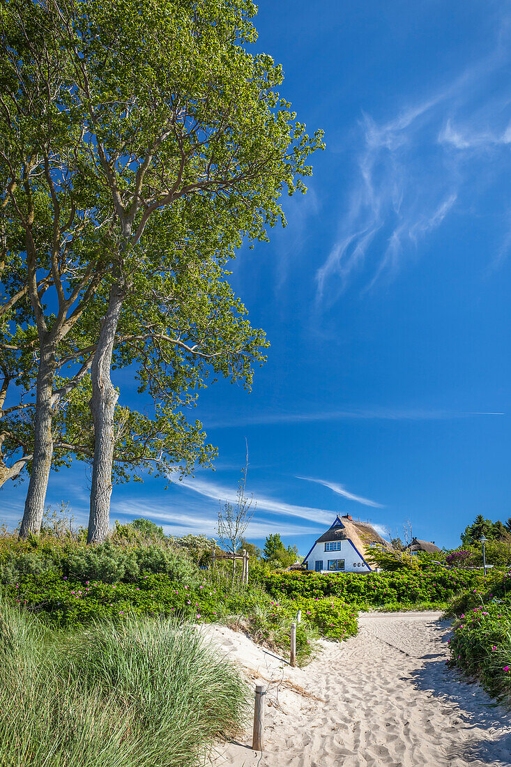 Weg zum Strand in Ahrenshoop, Mecklenburg-Vorpommern, Norddeutschland, Deutschland