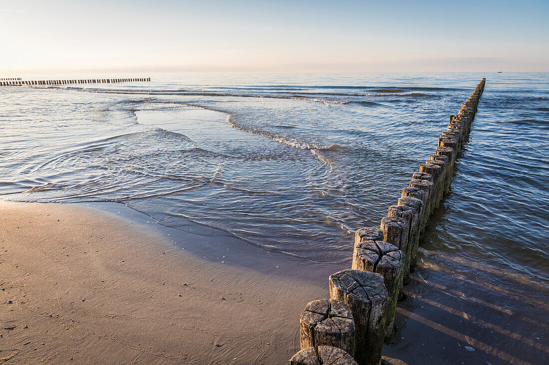 Groynes in the evening light at the beach of Zingst, Mecklenburg-West Pomerania, Northern Germany, Germany
