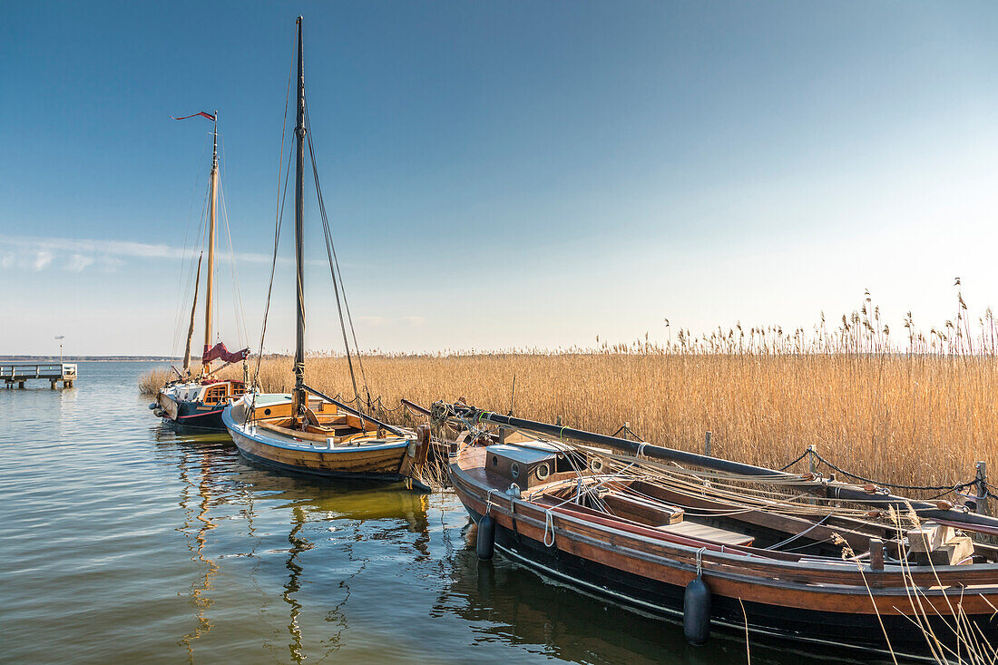 Zeesenboote im Boddenhafen von Born am Darß, Mecklenburg-Vorpommern, Norddeutschland, Deutschland