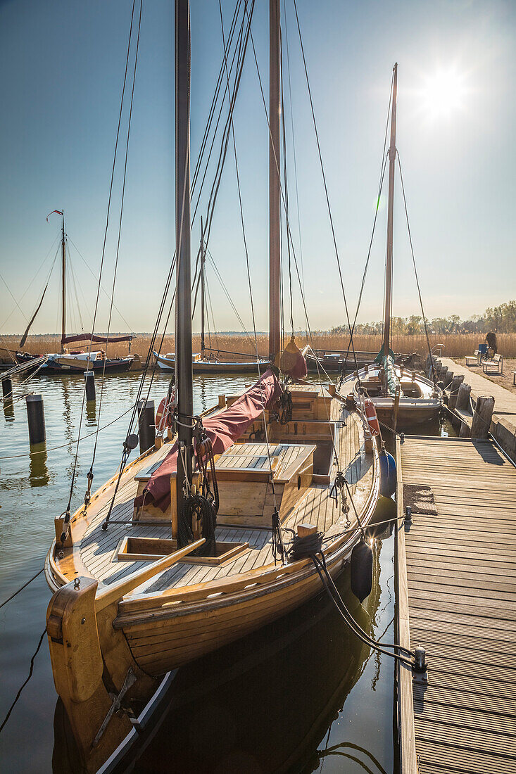 Zeesenboote im Boddenhafen von Born am Darß, Mecklenburg-Vorpommern, Norddeutschland, Deutschland