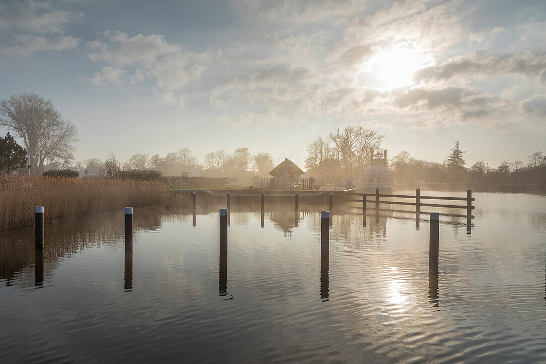 Nebelstimmung am Boddenhafen von Prerow, Mecklenburg-Vorpommern, Norddeutschland, Deutschland