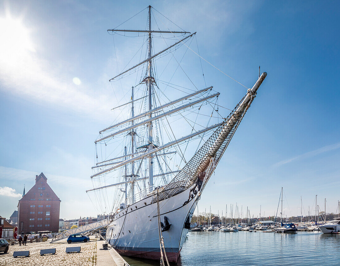Museumsschiff Gorch Fock im Hafen von Stralsund, Mecklenburg-Vorpommern, Norddeutschland, Deutschland