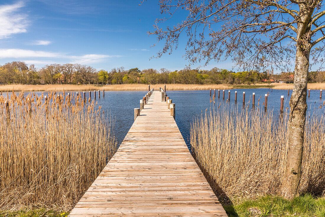 Landungssteg im Boddenhafen von Prerow, Mecklenburg-Vorpommern, Norddeutschland, Deutschland