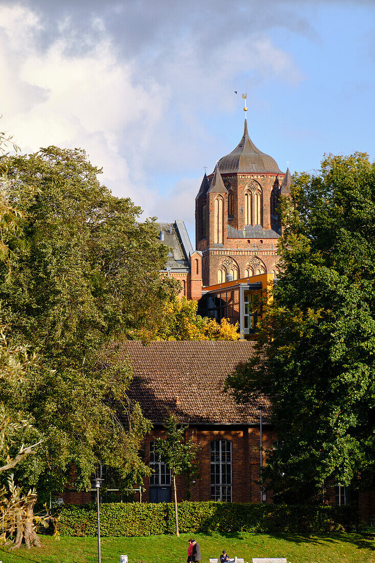 View of the Sankt Nikolai Church from the Knieperteich in the World Heritage and Hanseatic City of Stralsund, Mecklenburg-West Pomerania, Germany