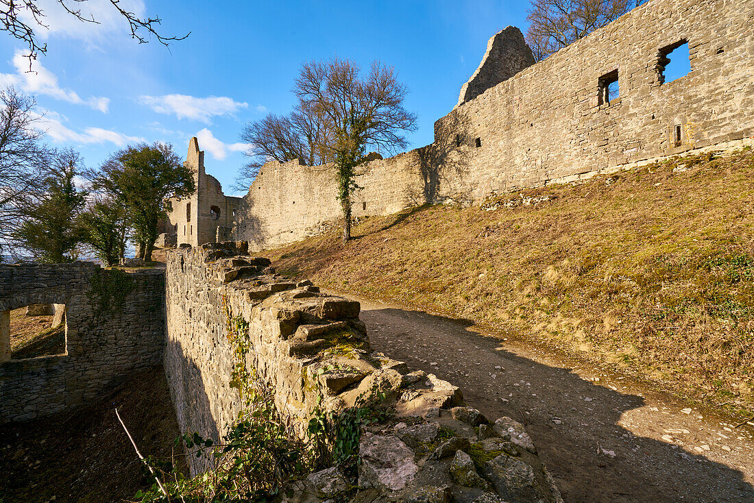 Homburg Castle Ruins and Ruine Homburg Nature Reserve,Lower Franconia,Franconia,Bavaria,Germany