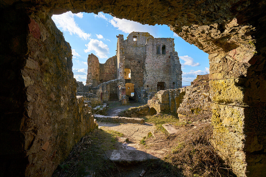 Homburg Castle Ruins and Ruine Homburg Nature Reserve,Lower Franconia,Franconia,Bavaria,Germany