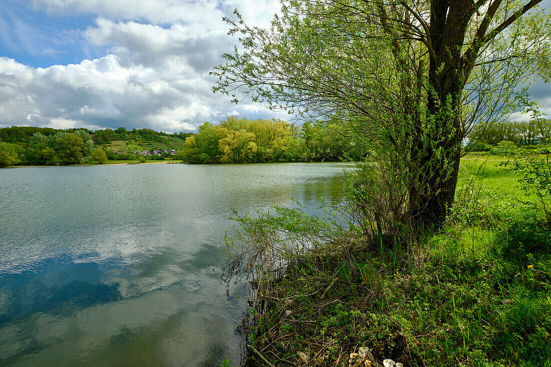 Altmain nature reserve and sandy grassland near Limbach, Hassberge district, Lower Franconia, Franconia, Bavaria, Germany