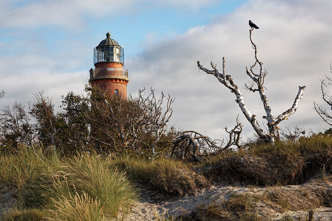 Darsser Ort lighthouse on Darss West Beach, Western Pomerania Lagoon Area National Park, Mecklenburg Western Pomerania, Germany