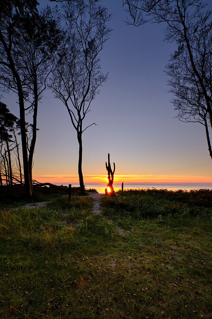 Lichtstimmung am Abend am Darßer Weststrand, Nationalpark Vorpommersche Boddenlandschaft, Mecklenburg Vorpommern, Deutschland