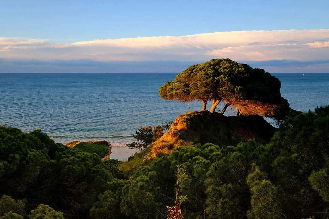 Sonnenaufgang am Strand des Atlantik der Felsalgarve bei Albufeira, Algarve, Barlavento, Westalgarve, Distrikt Faro, Portugal, Europa