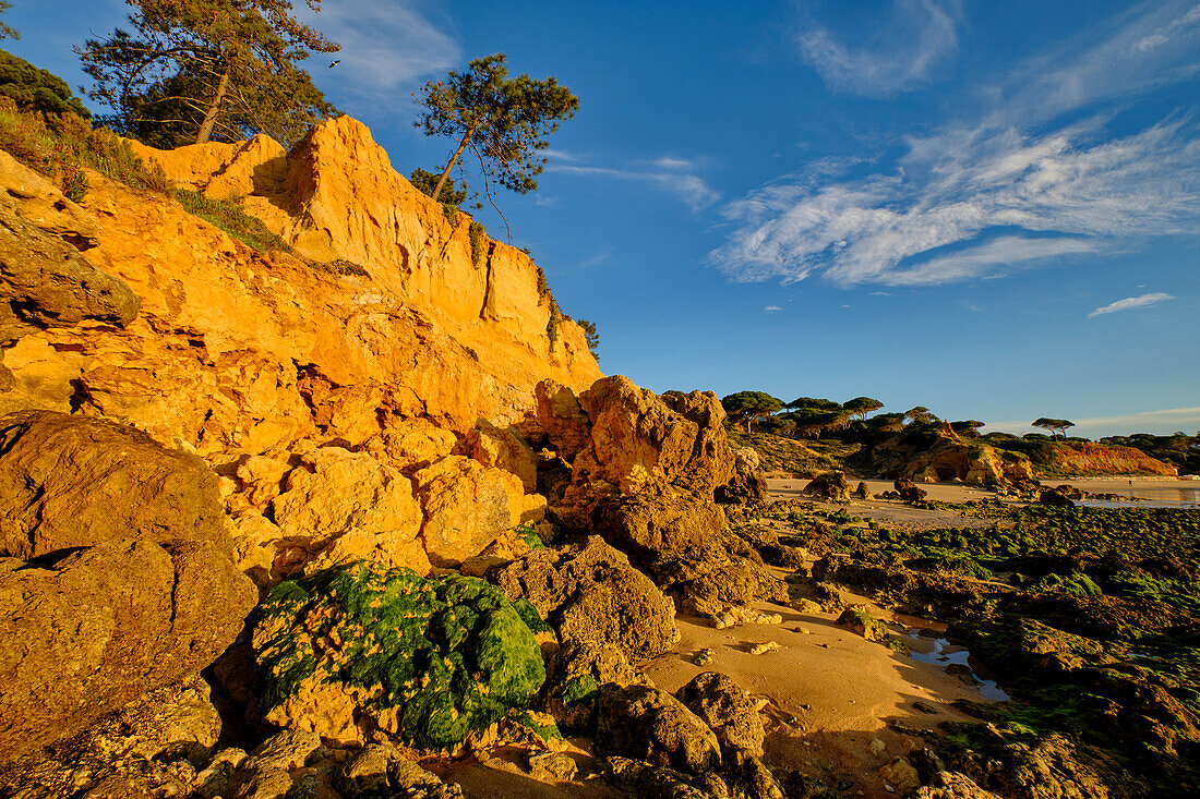 Sonnenaufgang am Strand des Atlantik der Felsalgarve bei Albufeira, Algarve, Barlavento, Westalgarve, Distrikt Faro, Portugal, Europa