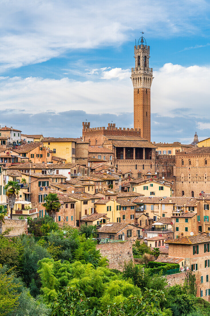 Torre Del Mangia, Palazzo Pubblico, Siena, Toskana, Italien, Europa