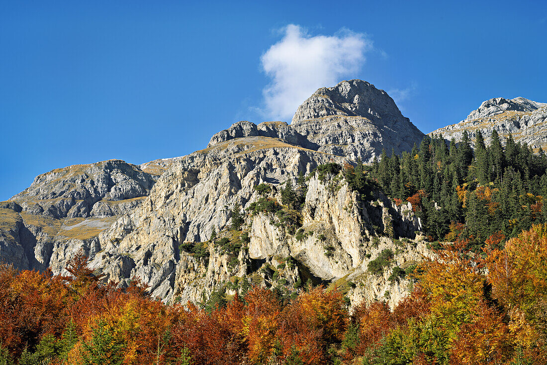Bergwelt über dem Großen Ahornboden, Eng, Hinterriß, Karwendel, Tirol, Österreich, Europa