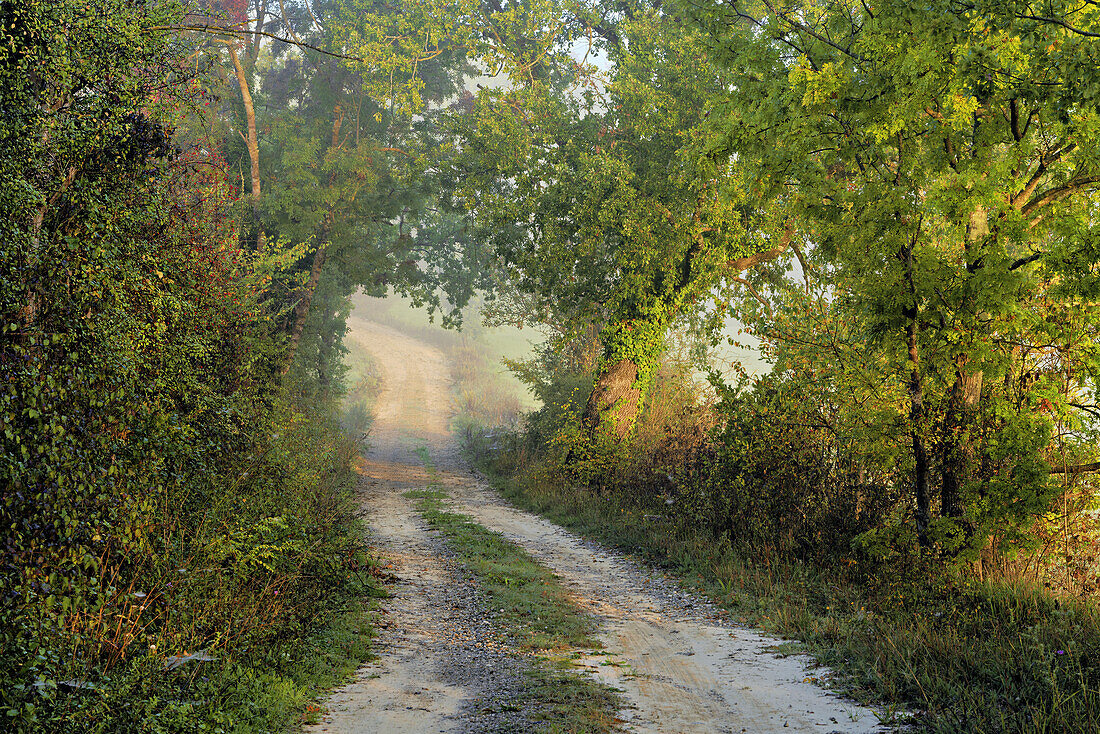 Morgens in den Hügeln bei Chiusdino, Provinz Siena, Toskana, Italien    