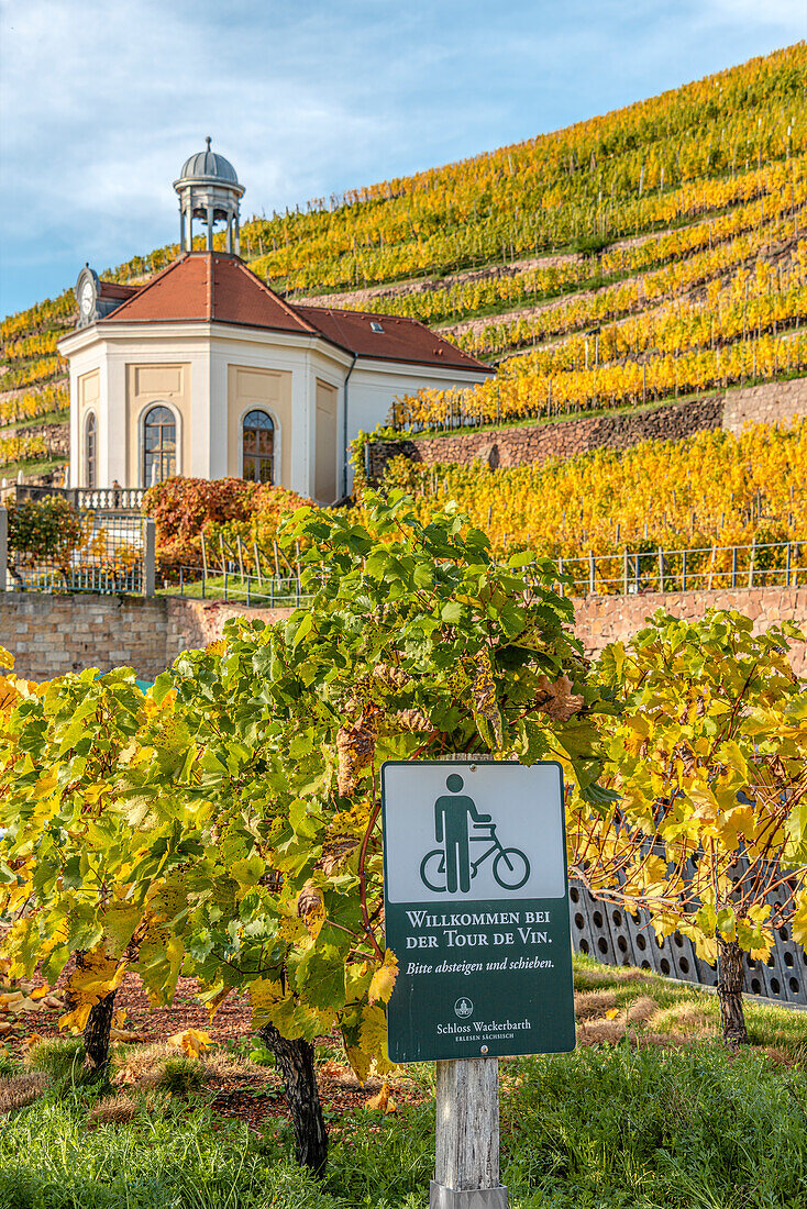 Belvedere pavilion of the Schloss Wackerbarth winery in autumn, Radebeul, Saxony, Germany
