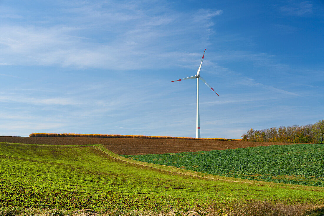 Landschaft und Weinberge an der Volkacher Mainschleife bei Neuses am Berg, Stadt Dettelbach, Landkreis Kitzingen, Unterfanken, Bayern, Deutschland