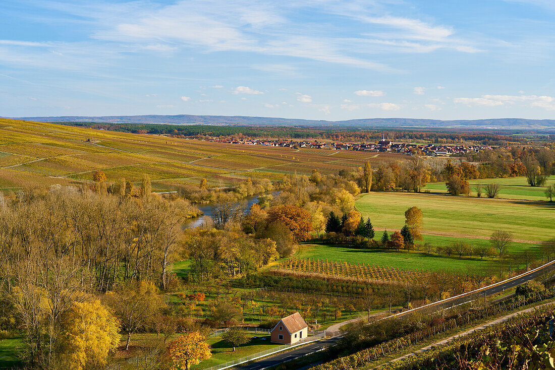 Mainaue nature reserve between Sommerach and Köhler on the Volkacher Mainschleife, Kitzingen district, Unterfranken, Bavaria, Germany