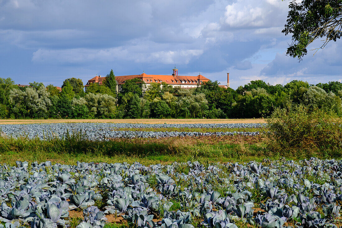 Blick auf Heidenfeld mit seiner Wallfahrtskirche und dem Kloster Heidenfeld auch Kloster Maria Hilf, Gemeinde Röthlein, Landkreis Schweinfurt, Unterfranken, Franken, Bayern, Deutschland