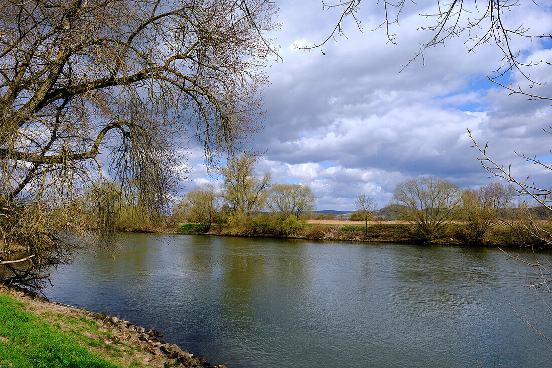 NSG Mainaue near Augsfeld between the town of Hassfurt and Knetzgau, Hassberge district, Lower Franconia, Franconia, Bavaria, Germany