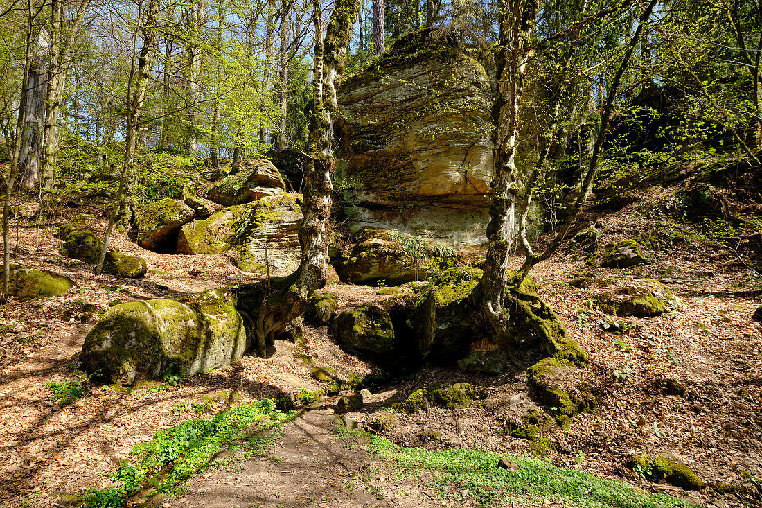 Felsenlabyrinth unterhalb der Ruine der Nordburg Lichtenstein in Lichtenstein, Naturpark Haßberge, Landkreis Hassberge, Unterfranken, Franken, Bayern, Deutschland