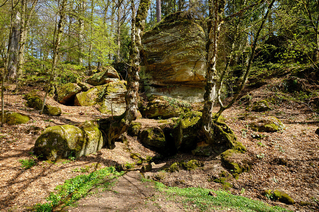 Rock labyrinth below the ruins of Nordburg Lichtenstein in Lichtenstein, Hassberge Nature Park, Hassberge district, Lower Franconia, Franconia, Bavaria, Germany