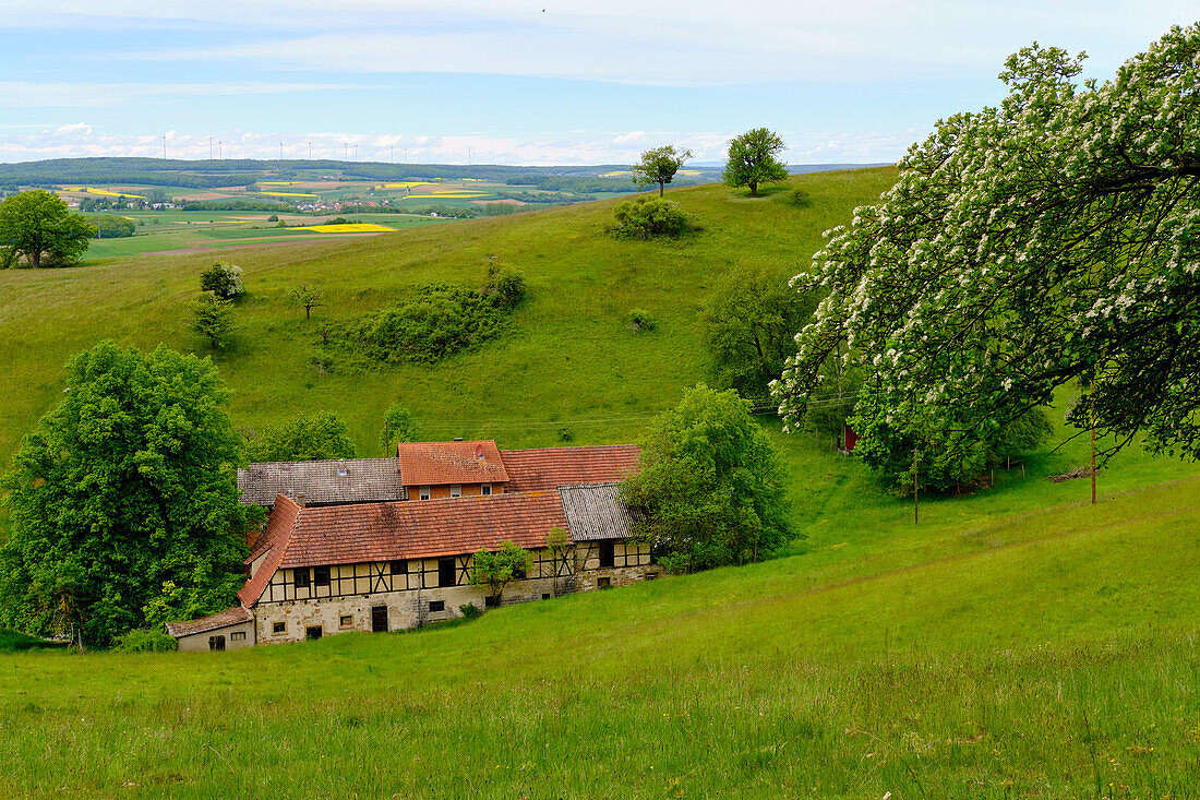 Landscape in the Hohe Wann nature reserve between Zeil am Main and Krum, Hassberge district, Lower Franconia, Franconia, Bavaria, Germany