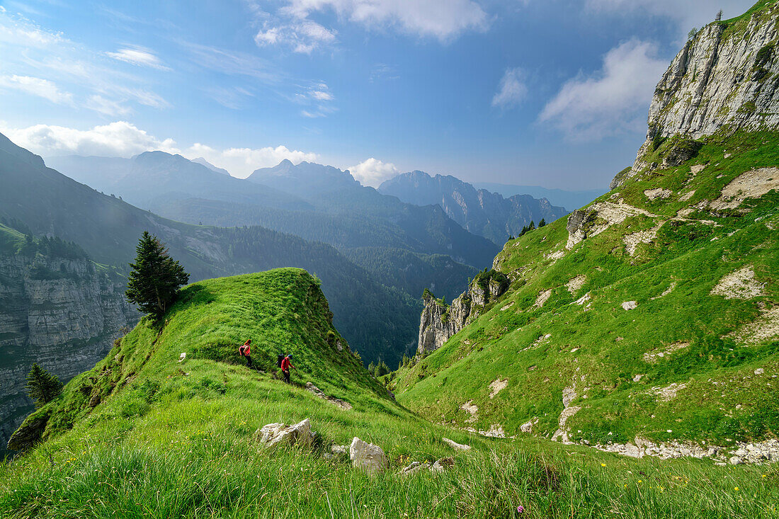 Zwei Personen wandern durch steile Grasflanke, Feltriner Berge, Belluneser Höhenweg, Dolomiten, Venezien, Venetien, Italien