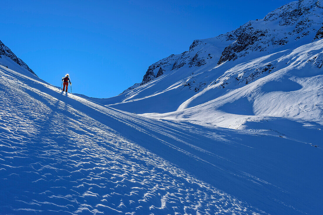 Frau auf Skitour steigt durchs Scharzachtal zur Schwarzachscharte auf, Schwarzachtal, Zillertaler Alpen, Tirol, Österreich